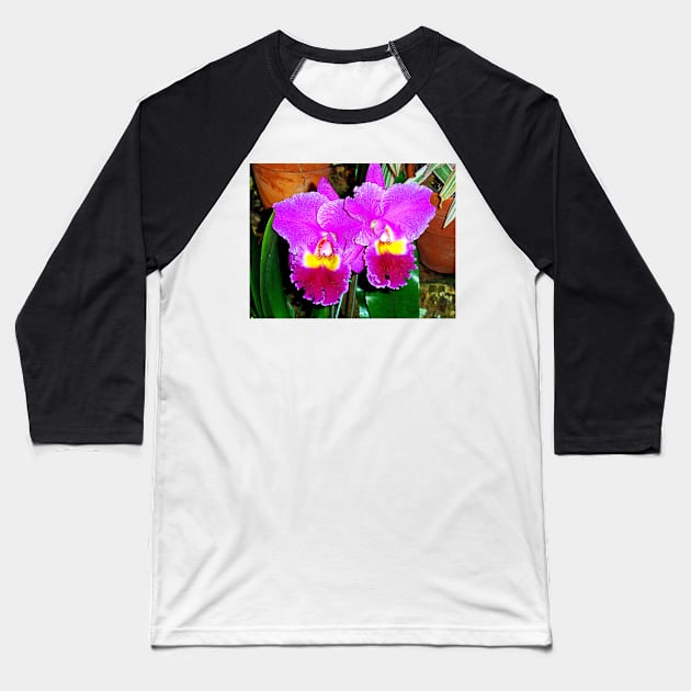 Orchid Study 2 Baseball T-Shirt by bobmeyers